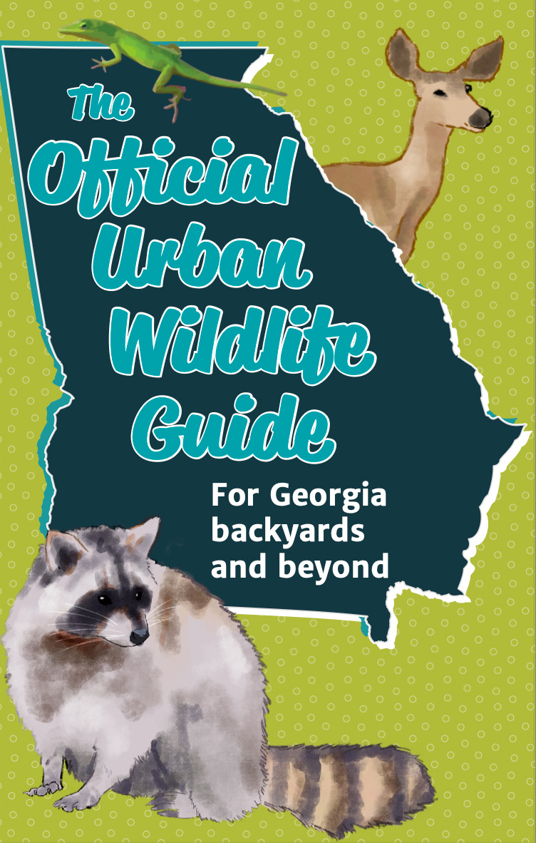 Urban Wildlife Guide
