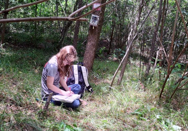 Person sitting on a forest floor, writing in a notebook.
