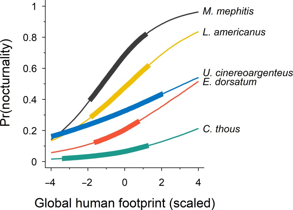 Image from the linked article
